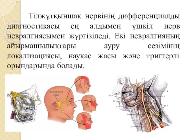 Тілжұтқыншақ нервінің дифференциалды диагностикасы ең алдымен үшкіл нерв невралгиясымен жүргізіледі. Екі