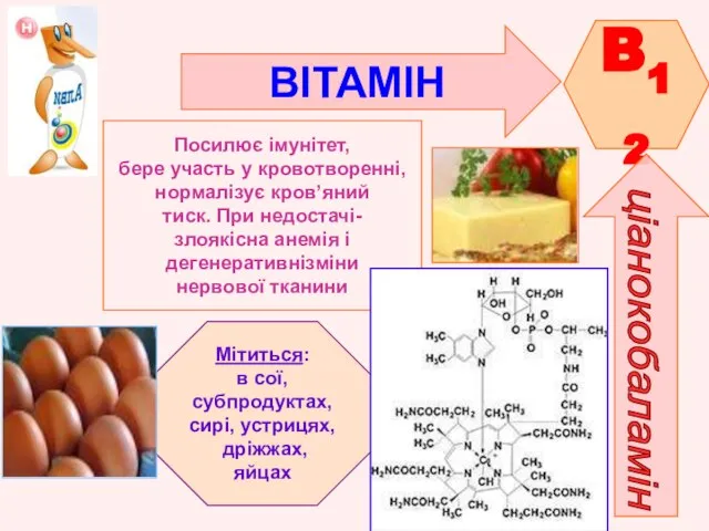 ВІТАМІН B12 ціанокобаламін Посилює імунітет, бере участь у кровотворенні, нормалізує кров’яний