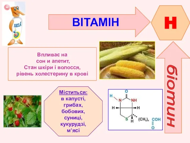 ВІТАМІН H біотин Впливає на сон и апетит, Стан шкіри і