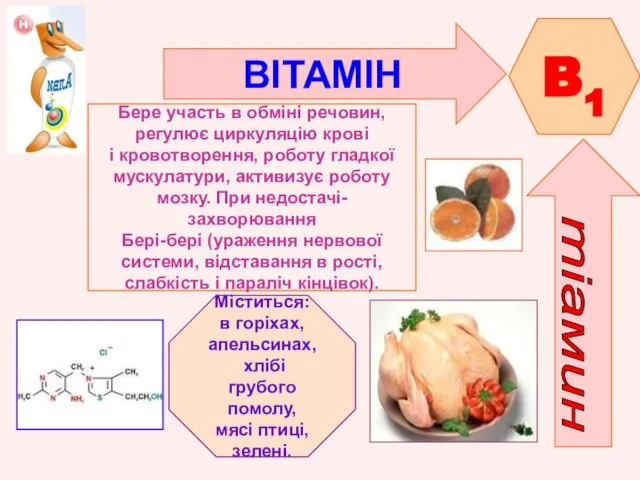 ВІТАМІН B1 Бере участь в обміні речовин, регулює циркуляцію крові і