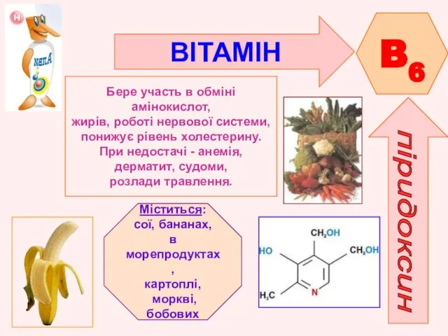 ВІТАМІН B6 піридоксин Бере участь в обміні амінокислот, жирів, роботі нервової