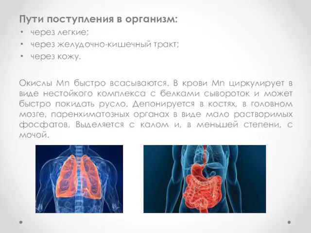 Пути поступления в организм: через легкие; через желудочно-кишечный тракт; через кожу.