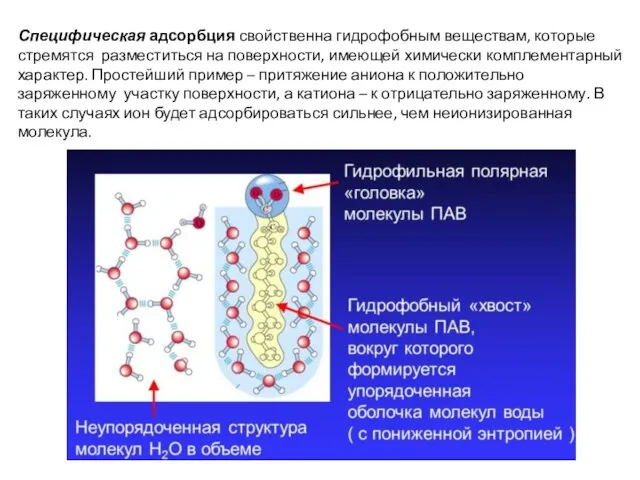 Специфическая адсорбция свойственна гидрофобным веществам, которые стремятся разместиться на поверхности, имеющей