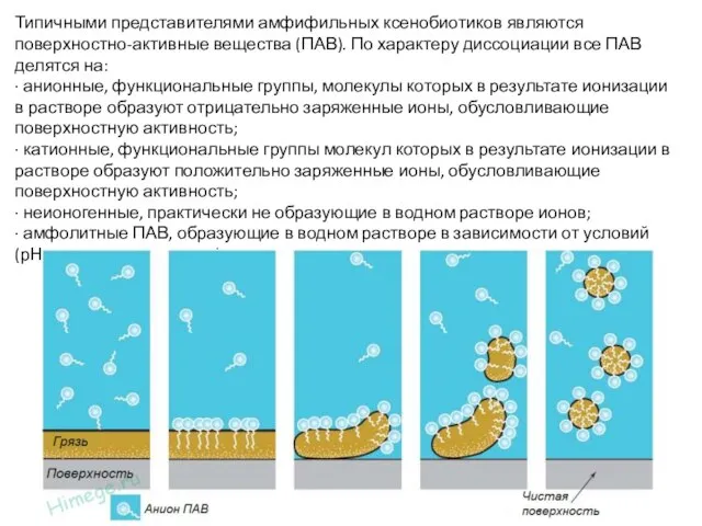 Типичными представителями амфифильных ксенобиотиков являются поверхностно-активные вещества (ПАВ). По характеру диссоциации