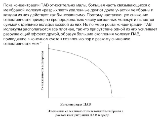 Пока концентрации ПАВ относительно малы, большая часть связывающихся с мембраной молекул