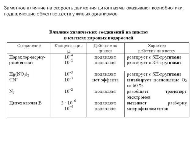 Заметное влияние на скорость движения цитоплазмы оказывают ксенобиотики, подавляющие обмен веществ у живых организмов