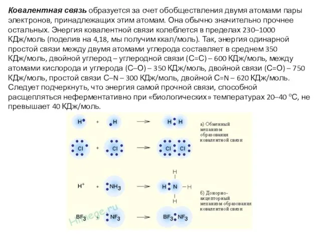 Ковалентная связь образуется за счет обобществления двумя атомами пары электронов, принадлежащих