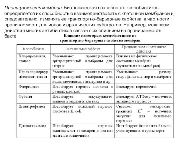 Проницаемость мембран. Биологическая способность ксенобиотиков определяется их способностью взаимодействовать с клеточной