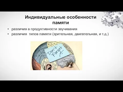 Индивидуальные особенности памяти различия в продуктивности заучивания различия типов памяти (зрительная, двигательная, и т.д.)