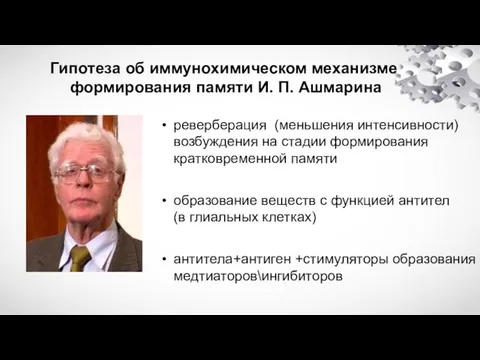 Гипотеза об иммунохимическом механизме формирования памяти И. П. Ашмарина реверберация (меньшения