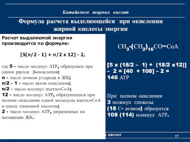 Катаболизм жирных кислот Катаболизм жирных кислот Расчет выделяемой энергии производится по