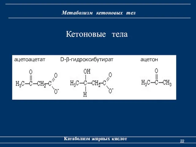 Метаболизм кетоновых тел Катаболизм жирных кислот ацетоацетат D-β-гидроксибутират ацетон Кетоновые тела