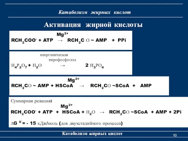 Катаболизм жирных кислот Катаболизм жирных кислот Mg2+ RCH2COO- + ATP →