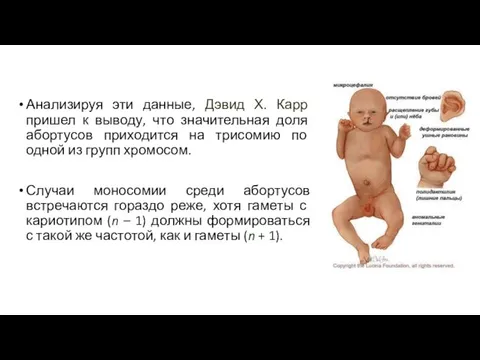 Анализируя эти данные, Дэвид Х. Карр пришел к выводу, что значительная