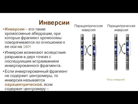 Инверсии Инверсии – это такие хромосомные аберрации, при которых фрагмент хромосомы