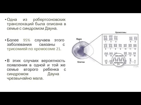 Одна из робертсоновских транслокаций была описана в семье с синдромом Дауна.