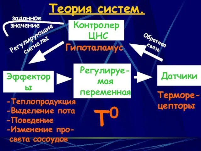 Эффекторы Датчики Теория систем. Контролер ЦНС T0 Регулируе-мая переменная Обратная связь