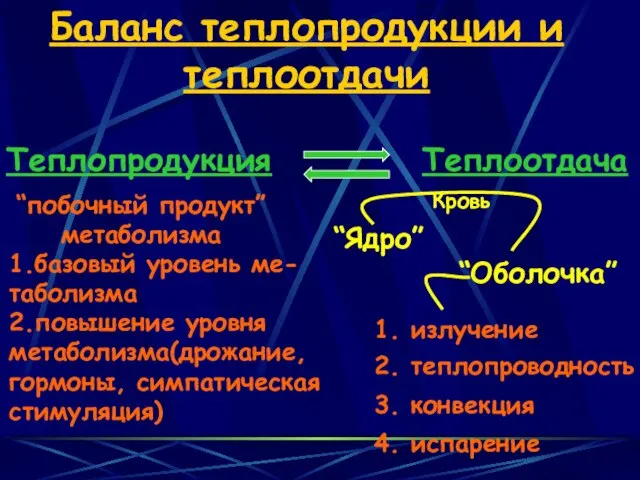 Баланс теплопродукции и теплоотдачи “побочный продукт” метаболизма 1.базовый уровень ме- таболизма