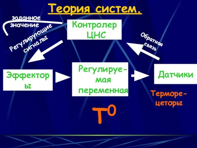 Эффекторы Датчики Теория систем. Контролер ЦНС T0 Регулируе-мая переменная Обратная связь Регулирующие сигналы Терморе- цеторы