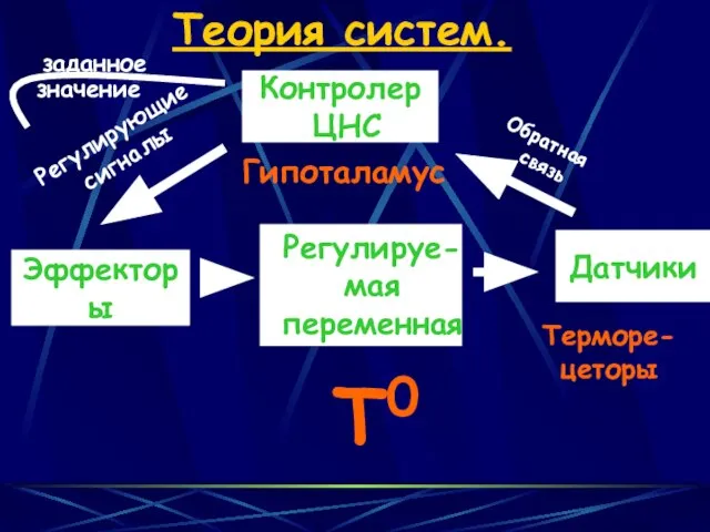 Эффекторы Датчики Теория систем. Контролер ЦНС T0 Регулируе-мая переменная Обратная связь Регулирующие сигналы Терморе- цеторы Гипоталамус