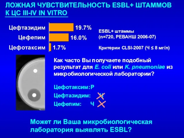 Как часто Вы получаете подобный результат для E. coli или K.