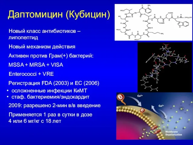 Даптомицин (Кубицин) Новый класс антибиотиков – липопептид Новый механизм действия Активен