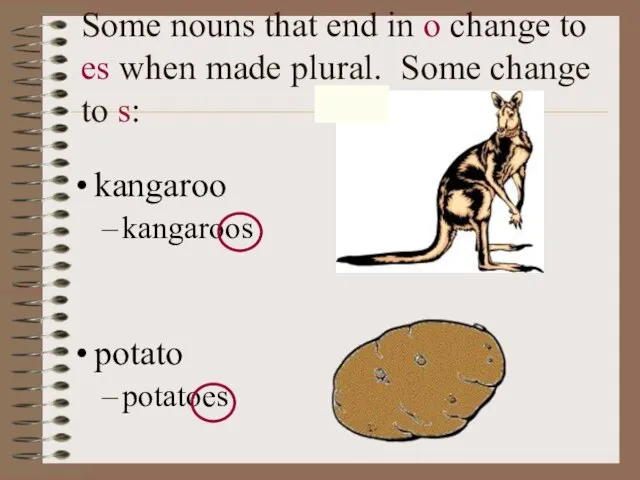 Some nouns that end in o change to es when made