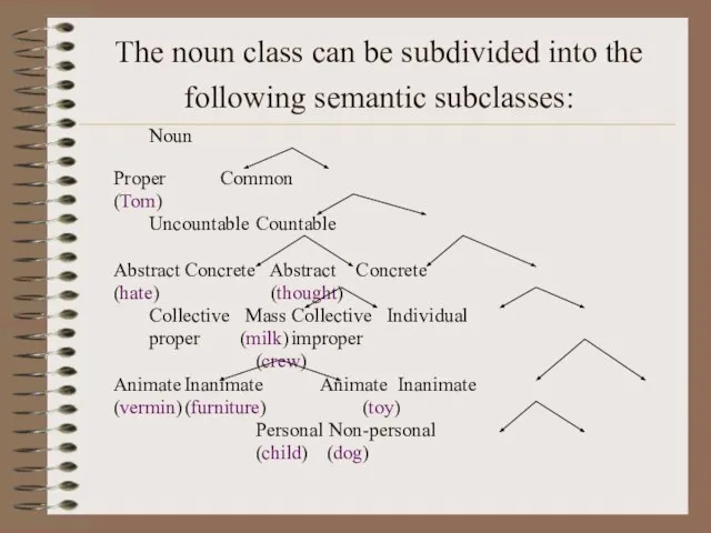 The noun class can be subdivided into the following semantic subclasses: