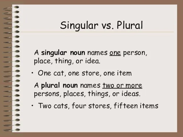 Singular vs. Plural A singular noun names one person, place, thing,