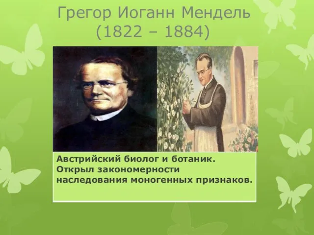 Грегор Иоганн Мендель (1822 – 1884)