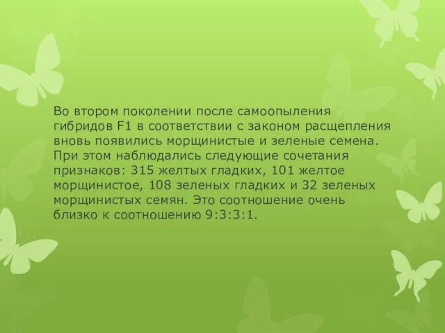 Во втором поколении после самоопыления гибридов F1 в соответствии с законом