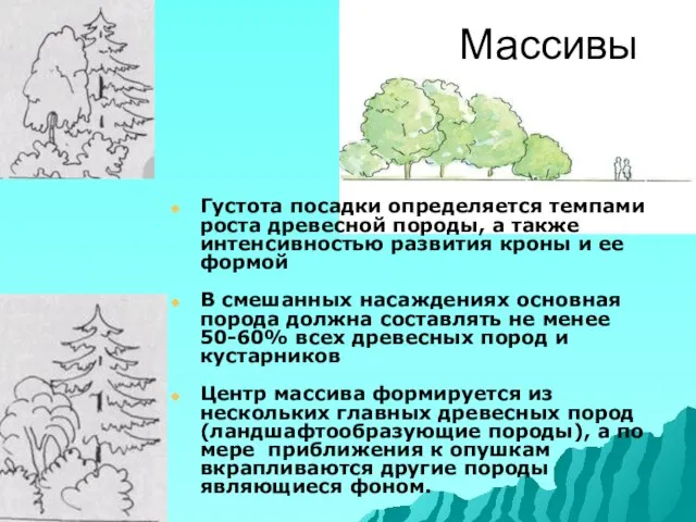 Массивы Густота посадки определяется темпами роста древесной породы, а также интенсивностью