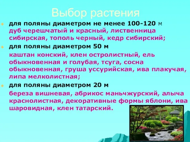 Выбор растения для поляны диаметром не менее 100-120 м дуб черешчатый