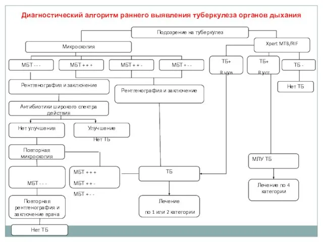 Диагностический алгоритм раннего выявления туберкулеза органов дыхания