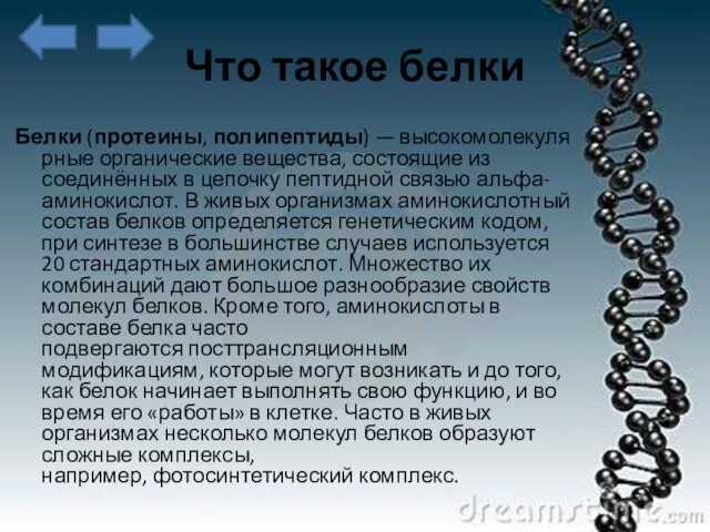 Что такое белки Белки (протеины, полипептиды) — высокомолекулярные органические вещества, состоящие