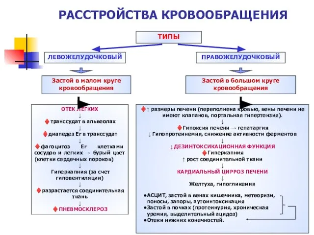 ТИПЫ ЛЕВОЖЕЛУДОЧКОВЫЙ ПРАВОЖЕЛУДОЧКОВЫЙ Застой в малом круге кровообращения Застой в большом