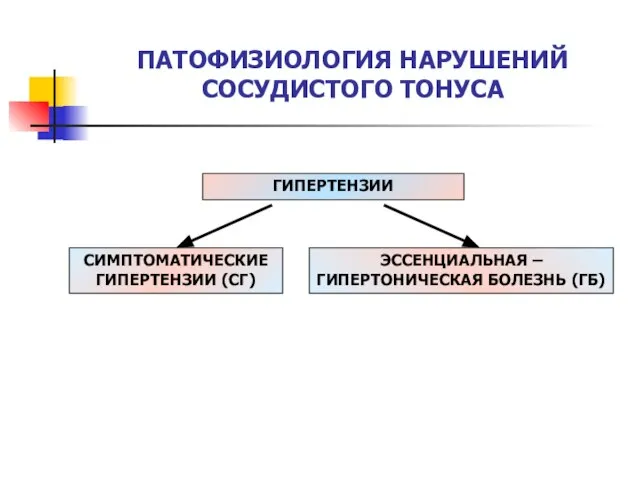 ПАТОФИЗИОЛОГИЯ НАРУШЕНИЙ СОСУДИСТОГО ТОНУСА ГИПЕРТЕНЗИИ СИМПТОМАТИЧЕСКИЕ ГИПЕРТЕНЗИИ (СГ) ЭССЕНЦИАЛЬНАЯ – ГИПЕРТОНИЧЕСКАЯ БОЛЕЗНЬ (ГБ)