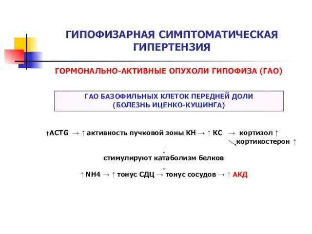 ГИПОФИЗАРНАЯ СИМПТОМАТИЧЕСКАЯ ГИПЕРТЕНЗИЯ ГОРМОНАЛЬНО-АКТИВНЫЕ ОПУХОЛИ ГИПОФИЗА (ГАО) ГАО БАЗОФИЛЬНЫХ КЛЕТОК ПЕРЕДНЕЙ