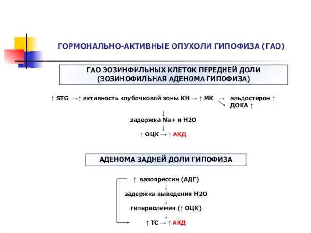 ГОРМОНАЛЬНО-АКТИВНЫЕ ОПУХОЛИ ГИПОФИЗА (ГАО) ГАО ЭОЗИНФИЛЬНЫХ КЛЕТОК ПЕРЕДНЕЙ ДОЛИ (ЭОЗИНОФИЛЬНАЯ АДЕНОМА