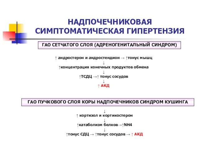 НАДПОЧЕЧНИКОВАЯ СИМПТОМАТИЧЕСКАЯ ГИПЕРТЕНЗИЯ ГАО СЕТЧАТОГО СЛОЯ (АДРЕНОГЕНИТАЛЬНЫЙ СИНДРОМ) ↑ андростерон и