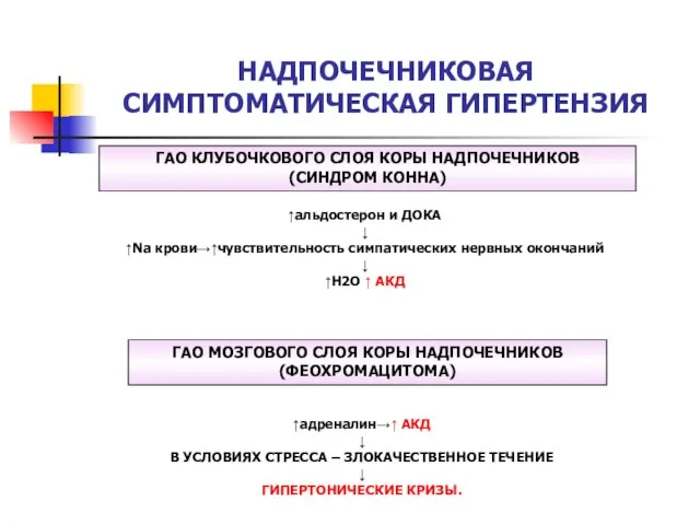 НАДПОЧЕЧНИКОВАЯ СИМПТОМАТИЧЕСКАЯ ГИПЕРТЕНЗИЯ ГАО КЛУБОЧКОВОГО СЛОЯ КОРЫ НАДПОЧЕЧНИКОВ (СИНДРОМ КОННА) ↑альдостерон