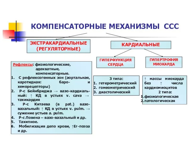 КОМПЕНСАТОРНЫЕ МЕХАНИЗМЫ ССС