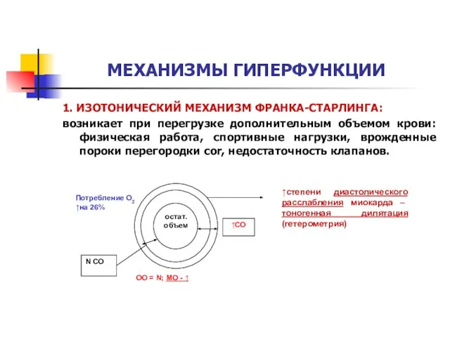 МЕХАНИЗМЫ ГИПЕРФУНКЦИИ 1. ИЗОТОНИЧЕСКИЙ МЕХАНИЗМ ФРАНКА-СТАРЛИНГА: возникает при перегрузке дополнительным объемом