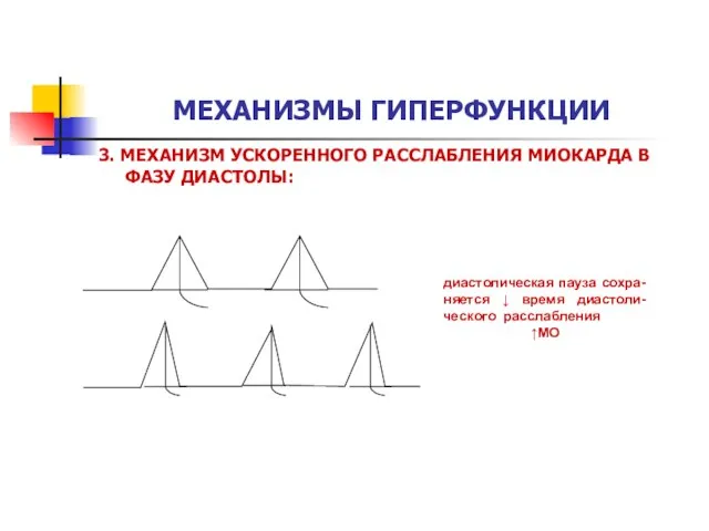 МЕХАНИЗМЫ ГИПЕРФУНКЦИИ 3. МЕХАНИЗМ УСКОРЕННОГО РАССЛАБЛЕНИЯ МИОКАРДА В ФАЗУ ДИАСТОЛЫ: