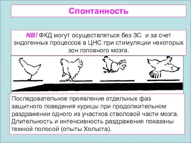 NB! ФКД могут осуществляться без ЗС и за счет эндогенных процессов