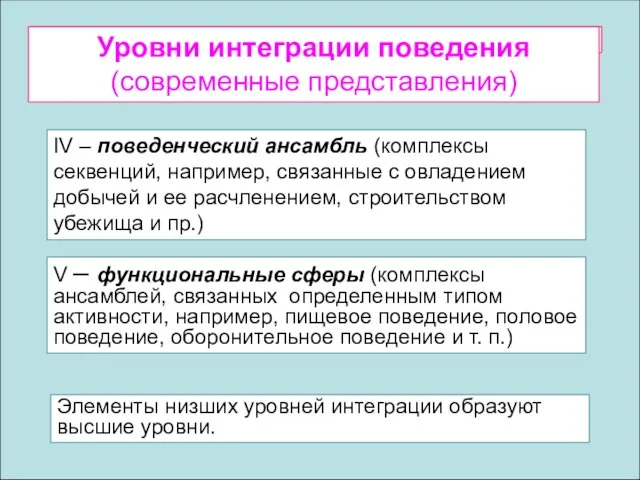 V – функциональные сферы (комплексы ансамблей, связанных определенным типом активности, например,