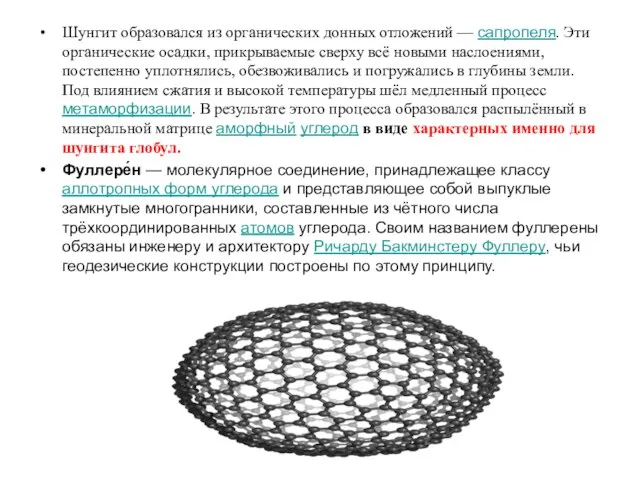 Шунгит образовался из органических донных отложений — сапропеля. Эти органические осадки,