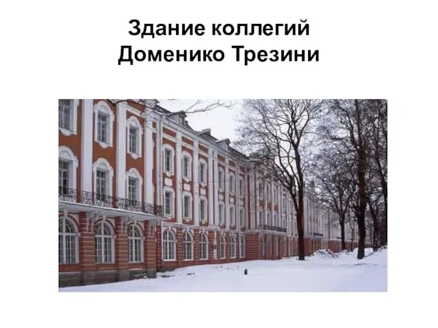 Здание коллегий Доменико Трезини