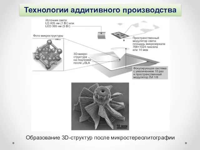 Технологии аддитивного производства Образование 3D-структур после микростереолитографии