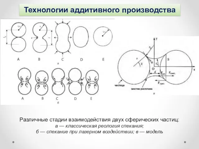 Технологии аддитивного производства Различные стадии взаимодействия двух сферических частиц: а —